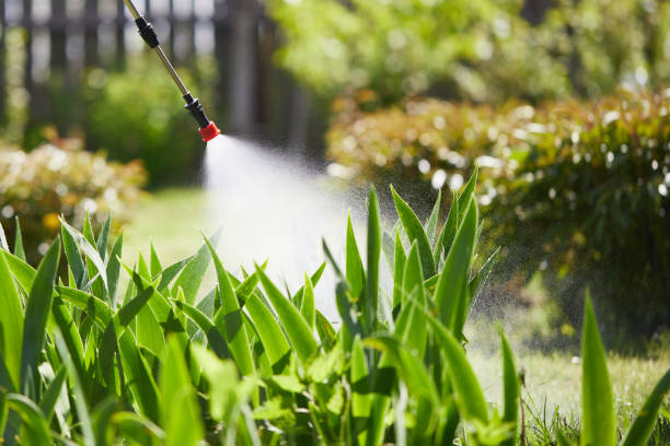 Tamper-Resistant Bait Stations for Rodents in Morgan Hill