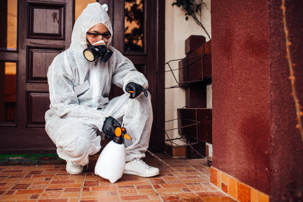 Attic and Crawl Space Rodent Treatment in Morgan Hill
