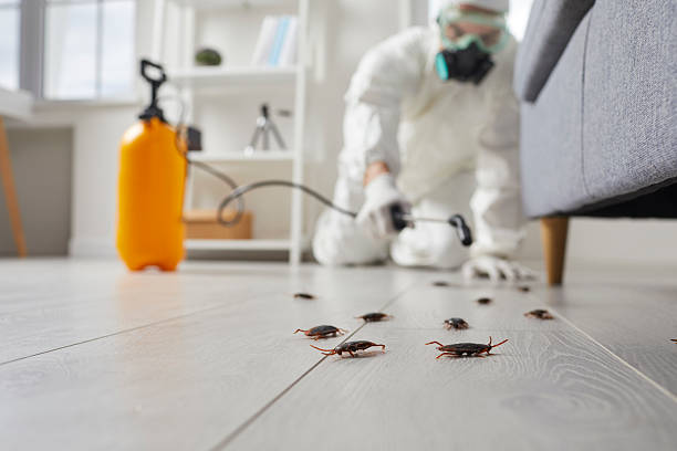 Commercial Rodent Management in Morgan Hill